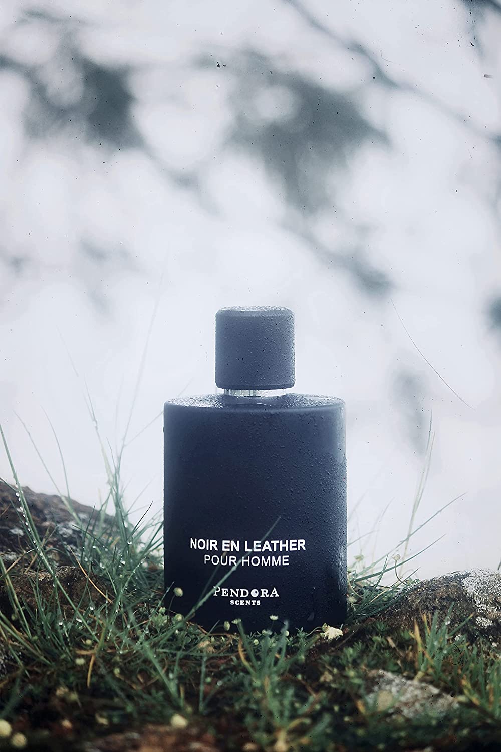 Pendora Scents Noir En LeatherUnisex 100ml
