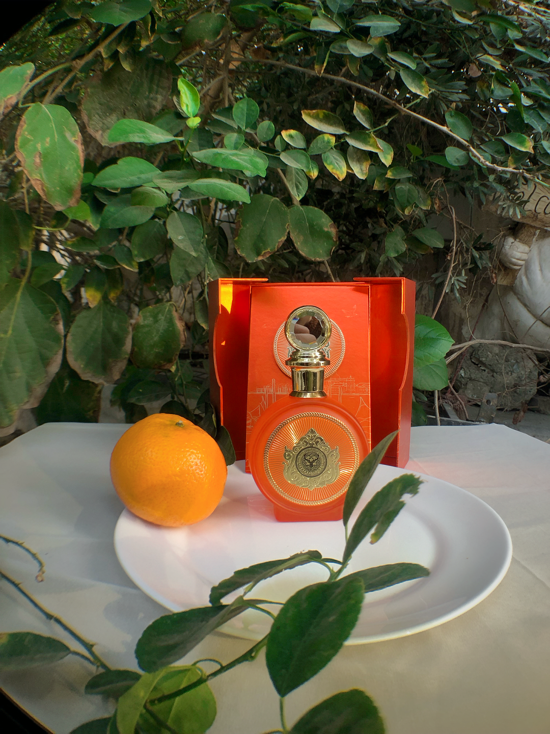 مجموعة من 5 عطور للجنسين