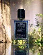 Privezarah Eau de Parfum for Men - Aromatic Fougere Elixir in 70ml