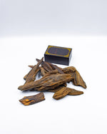 عود بروناي (الشيوخ)