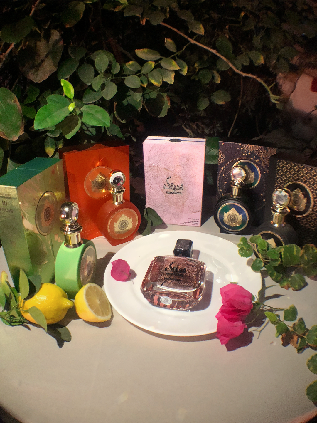 Pack of 5 Perfumesfor Men's & Women's