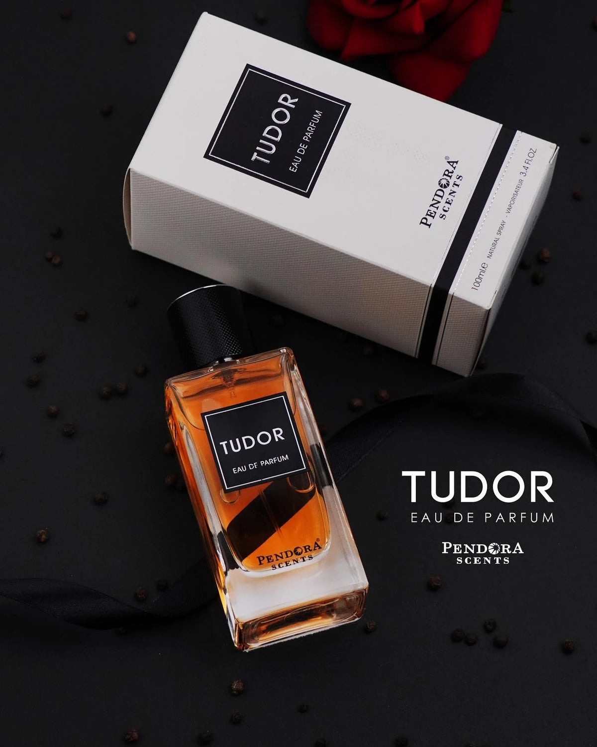 Tudor Men's EDP 100ml By Pendora Scents