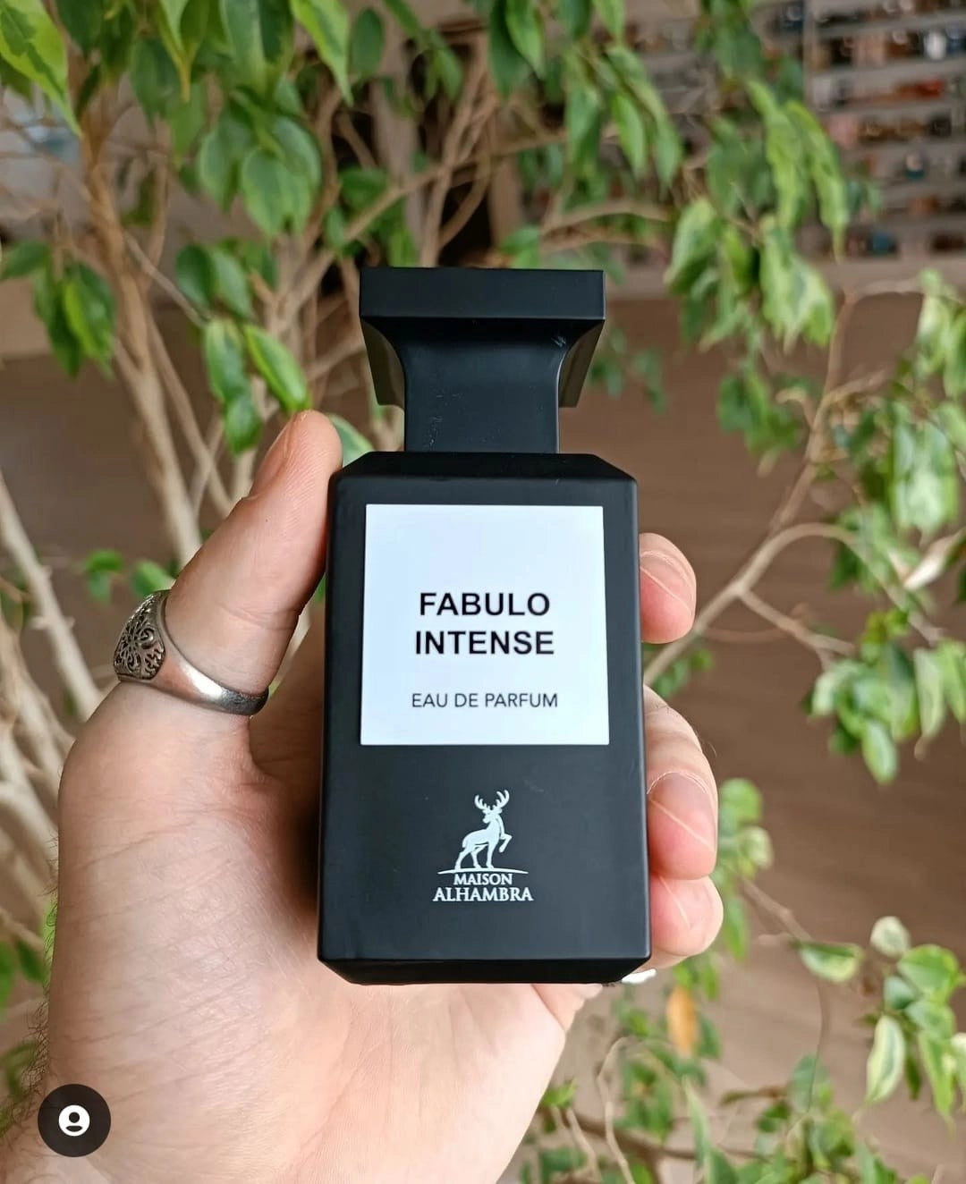 Fabulo Intense Unisex Eau De Perfume 100ml by Maison Alhambra