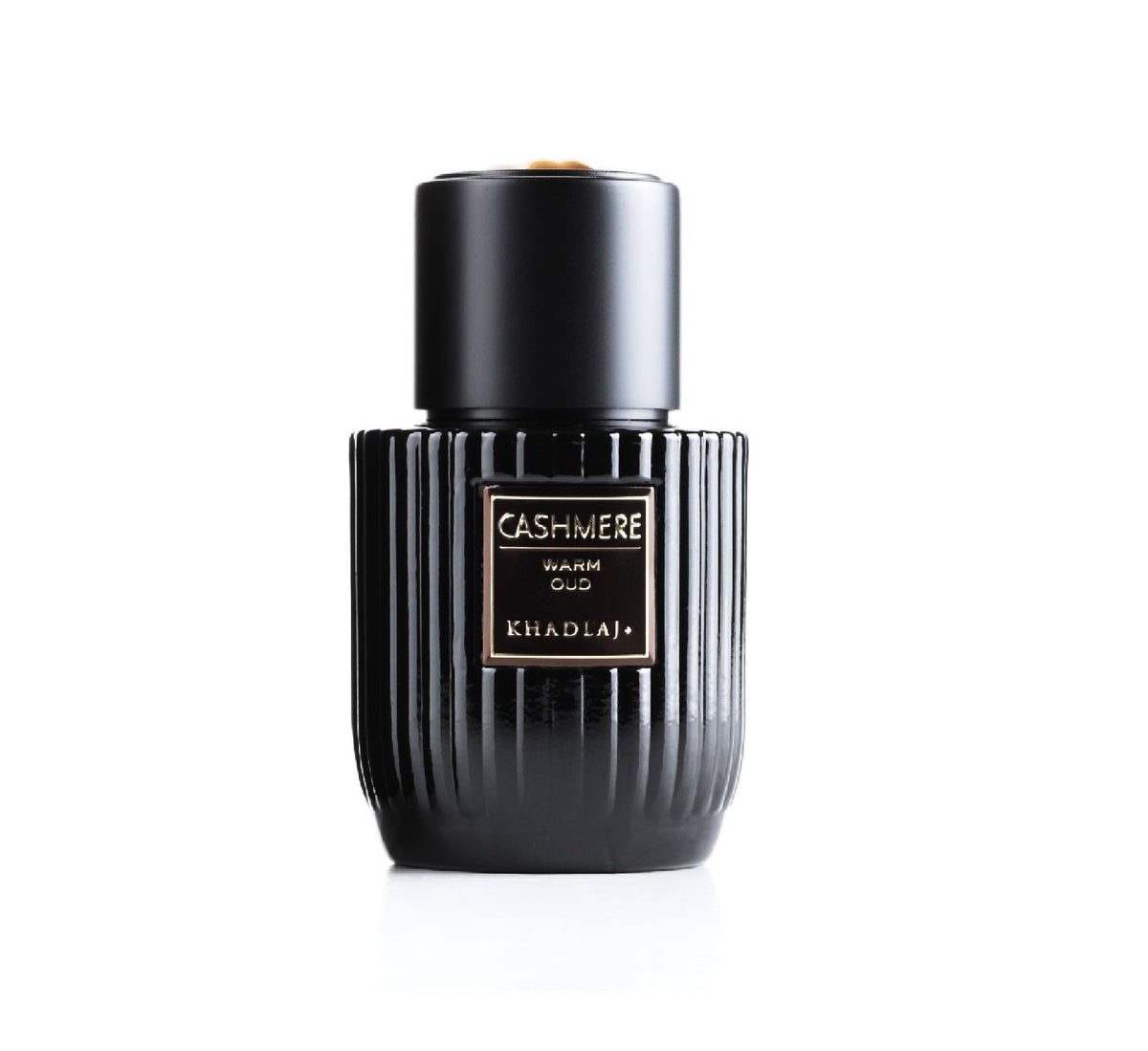 Cashmere Warm Oud 100ml EDP UnisexPerfume