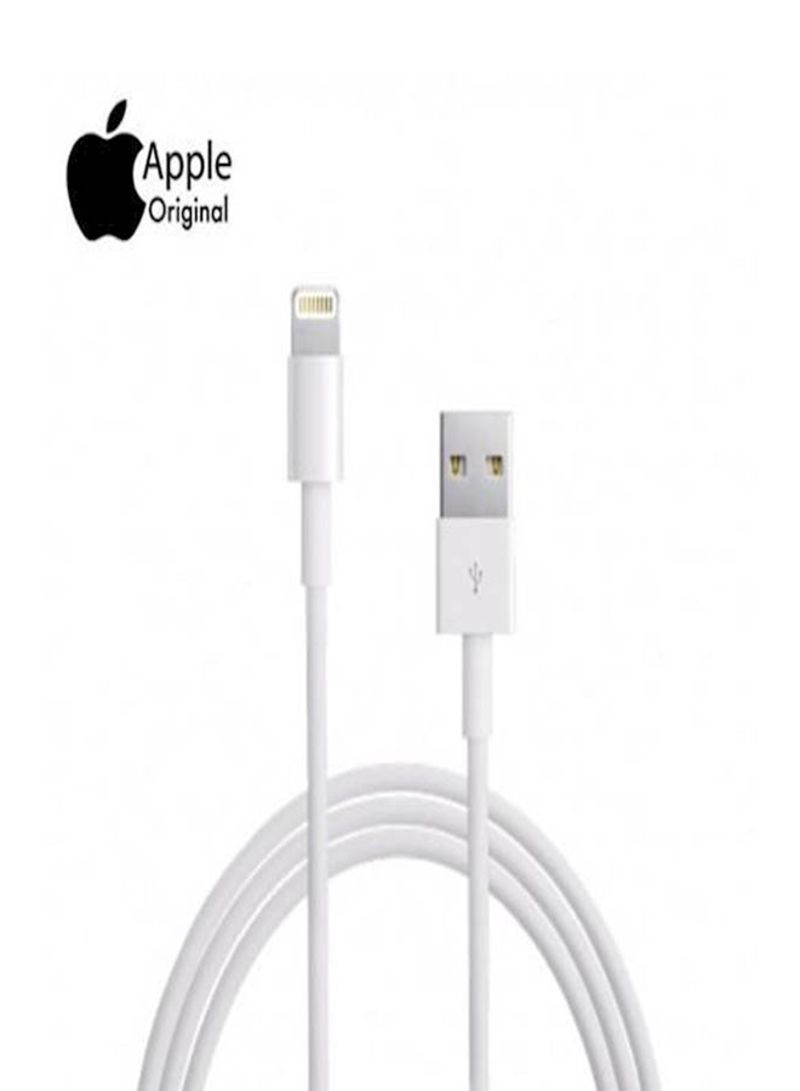 iPhone X Lightning to USB cable