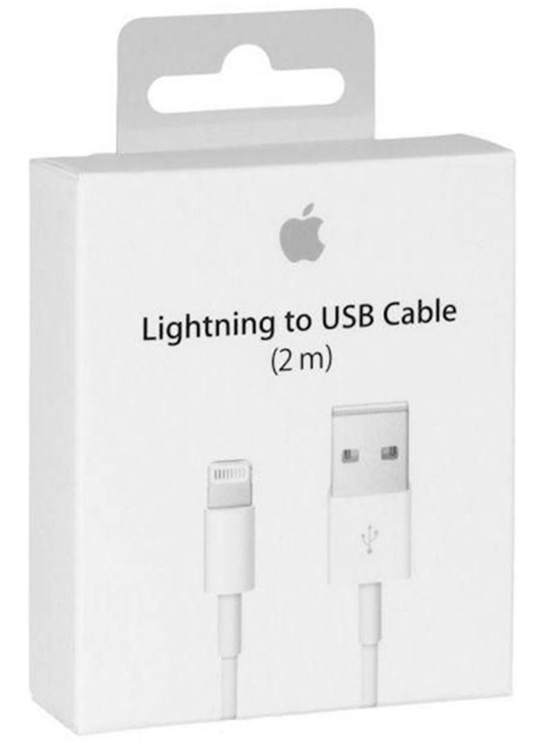 iPhone X Lightning to USB cable