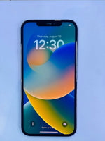Iphone 12 pro max 256gb pacific blue price